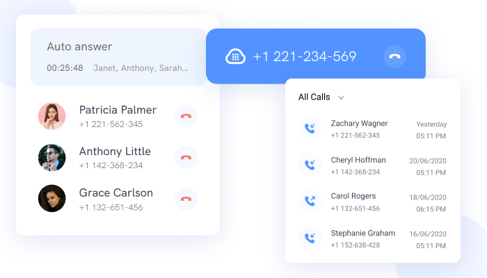 Customized Call Flows