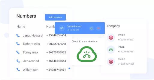 Why Virtual Number System is Important for Any Business?